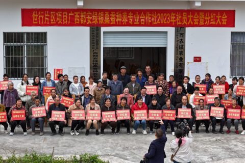 广西都安绿银桑蚕种养专业合作社举行盛大分红大会，助力乡村振兴