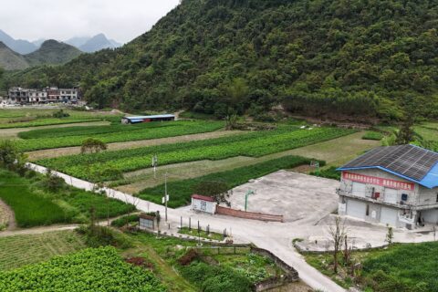 农谋农业桑园2024年4月航拍图