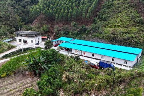 焕新启航，共育希望——广西农谋农业有限公司小蚕共育基地屋面翻新工程圆满竣工