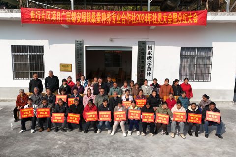 广西都安绿银桑蚕种养专业合作社成功召开 2024 年度社员大会暨分红大会